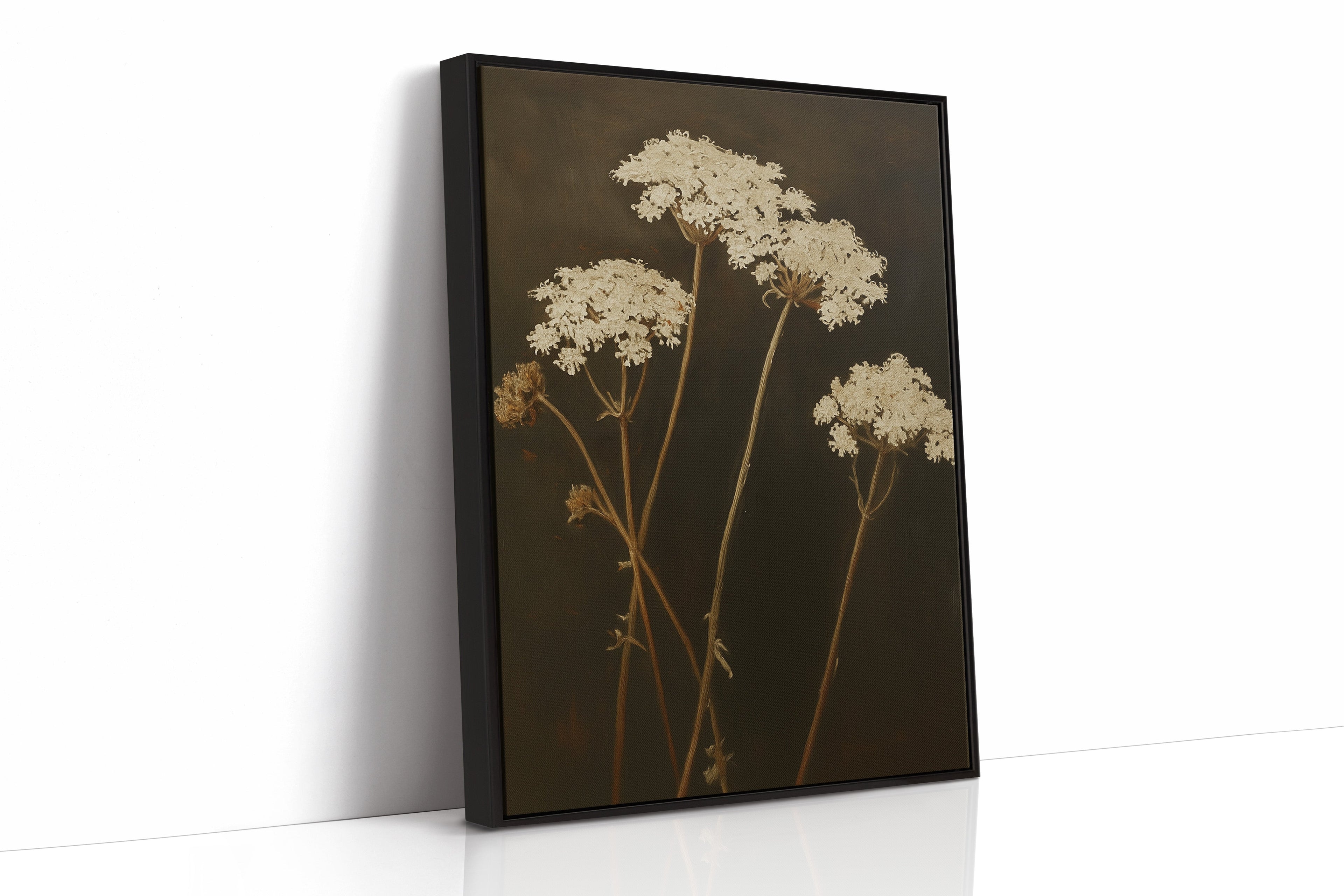 Queen Annes Lace in Late Autumn Light