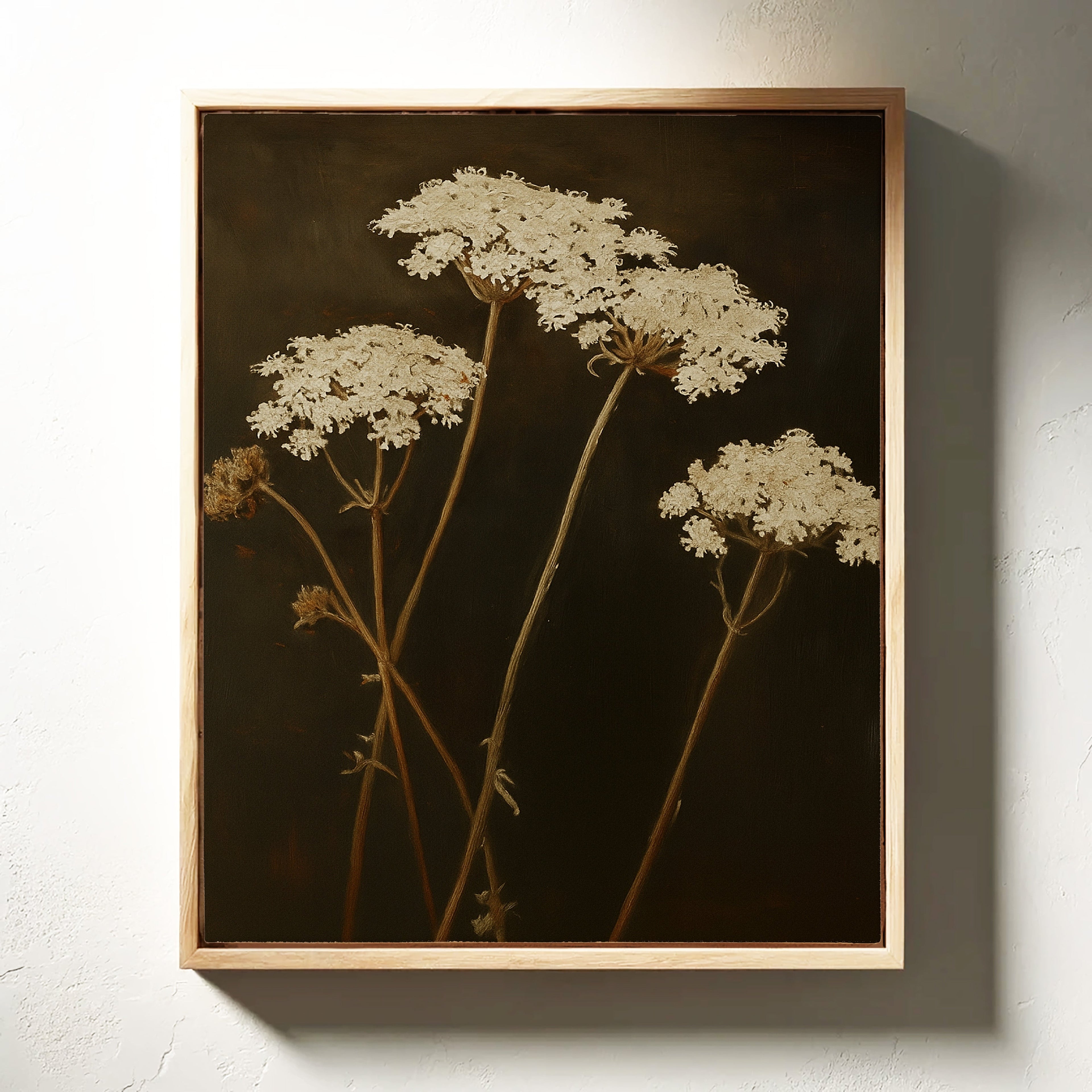 Queen Annes Lace in Late Autumn Light
